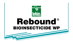 REBOUND BIOINSECTICIDE WP