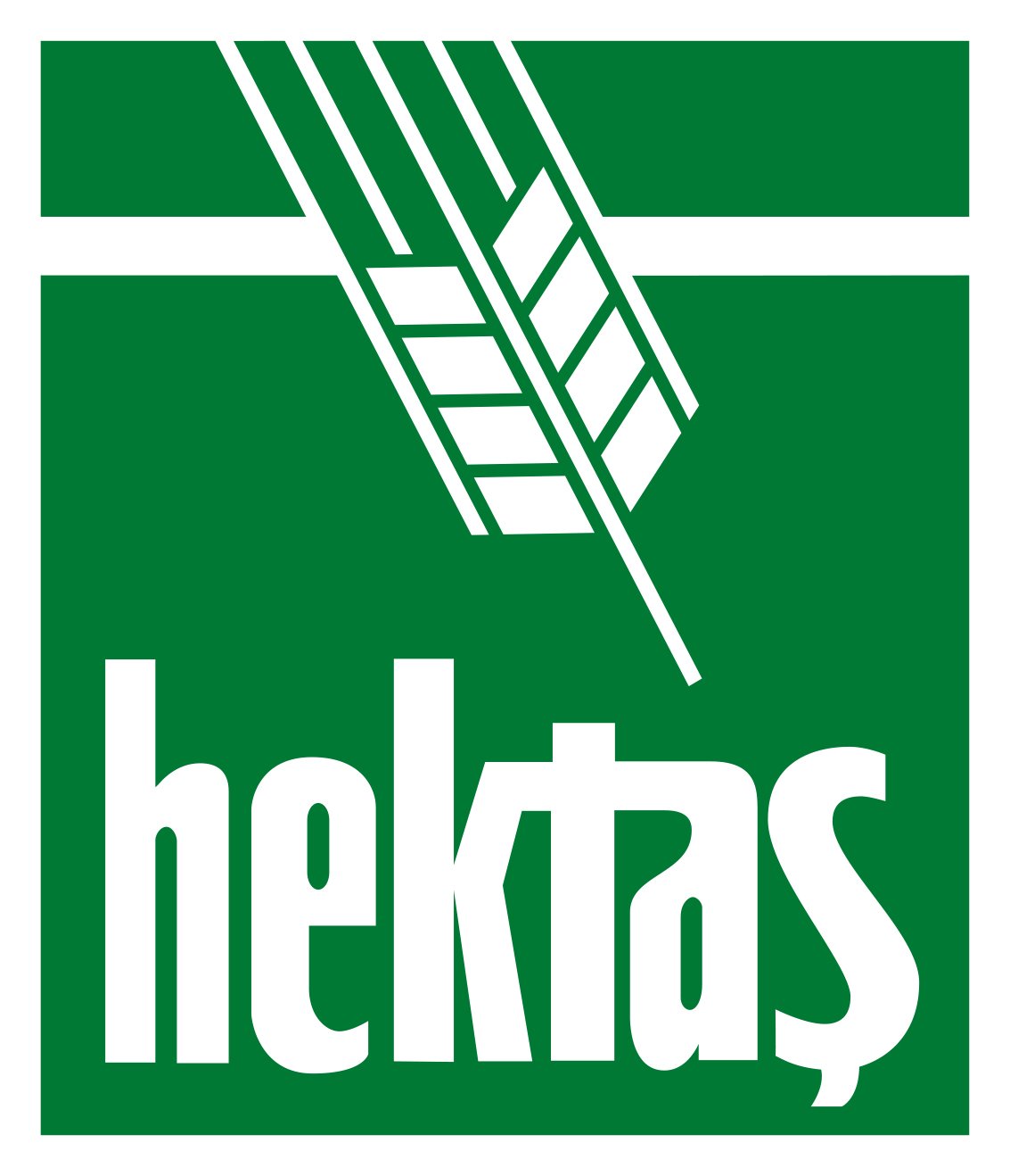 Hektaş in the &#8216;Large Cap&#8217; Index