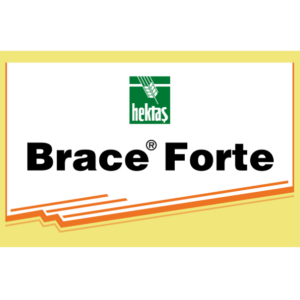 BRACE® FORTE
