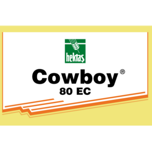 Cowboy 80 EC