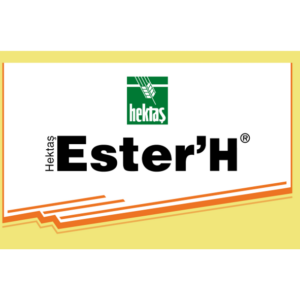 Ester H