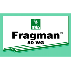 Fragman 50 WG