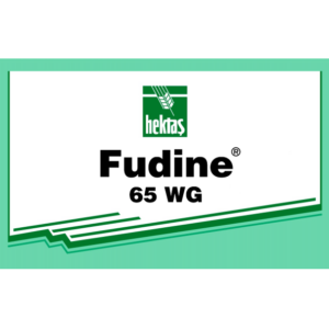 FUDINE® 65 WP