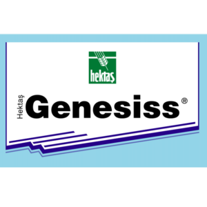 HEKTAS GENESISS