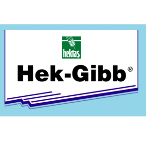 HEK-GIBB