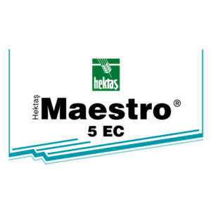 Maestro 5 EC