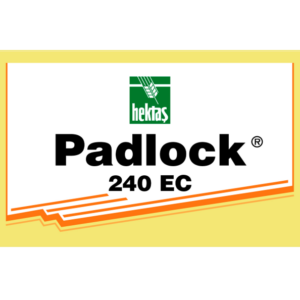 Padlock 240 EC