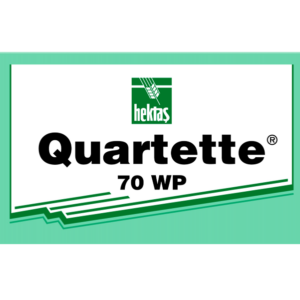 Quartette 70 WP