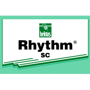 Rhythm SC